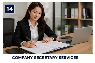 Company Secretary Services service